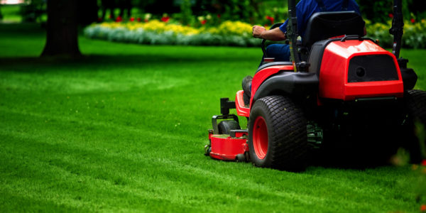 commercial & residential lawn mowing & maintenance
